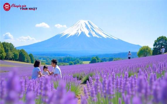 [HCM] Tour Nhật Bản Cung Đường Vàng Mùa Hè